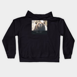 Grid Bear Codes Kids Hoodie